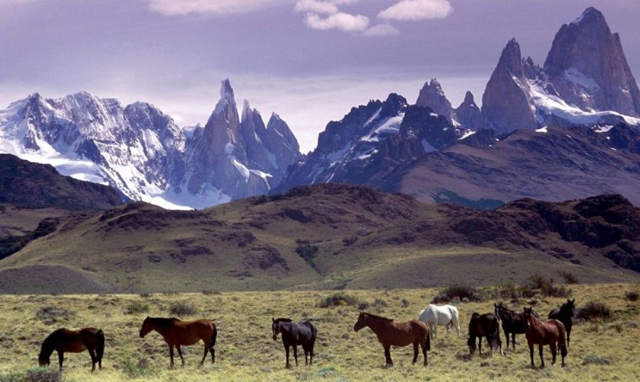 Torres del Paine National Park in the Patagonia Region of Chile, South America