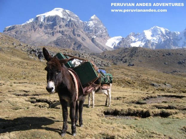 Viconga camp in the Cordillera Huayhuash of the Peru Andes