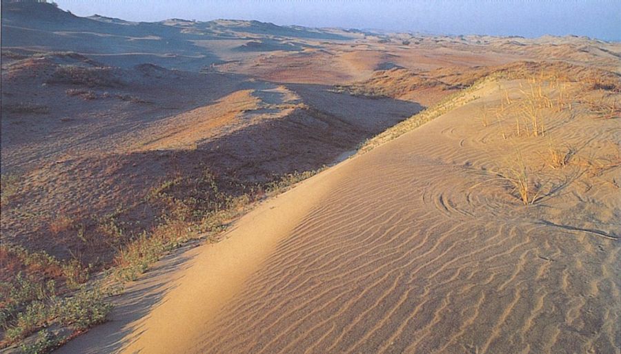 Sand Dunes at La Paz