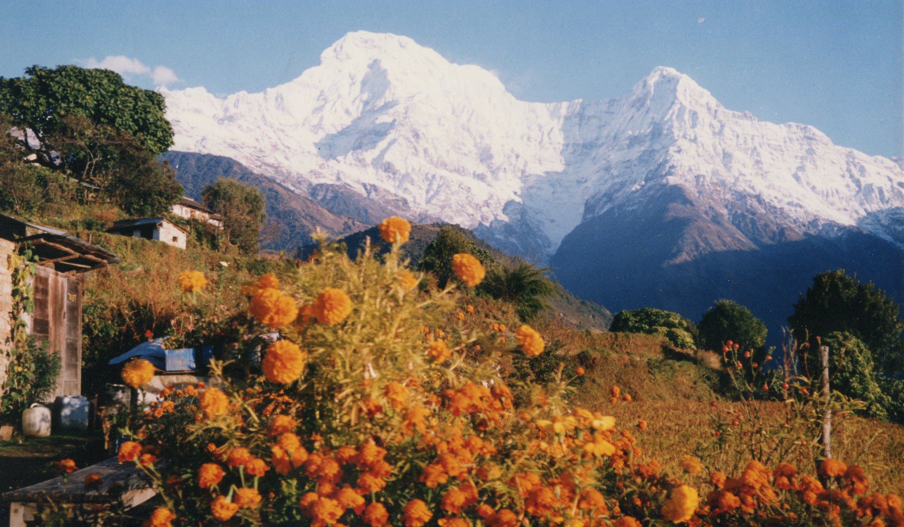 Annapurna South Peak and Hiunchuli from Gandrung