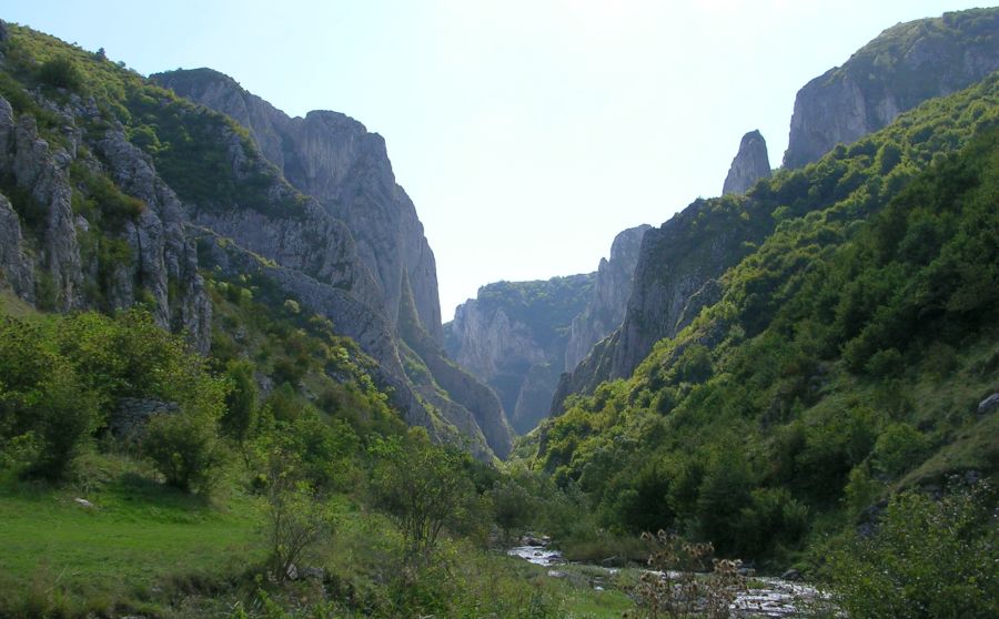 Turda Gorges (Cheile Turzii ) in the Southern Carpathians of Romania