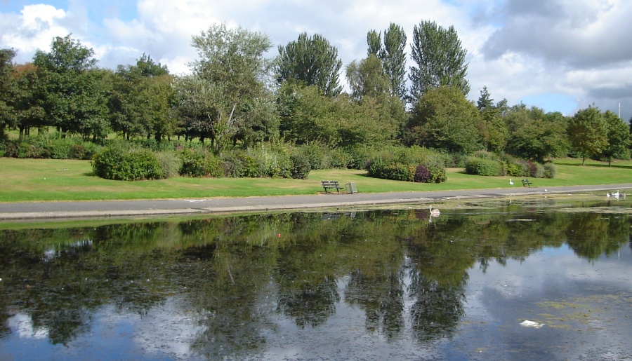 Pond in Alexandra Park