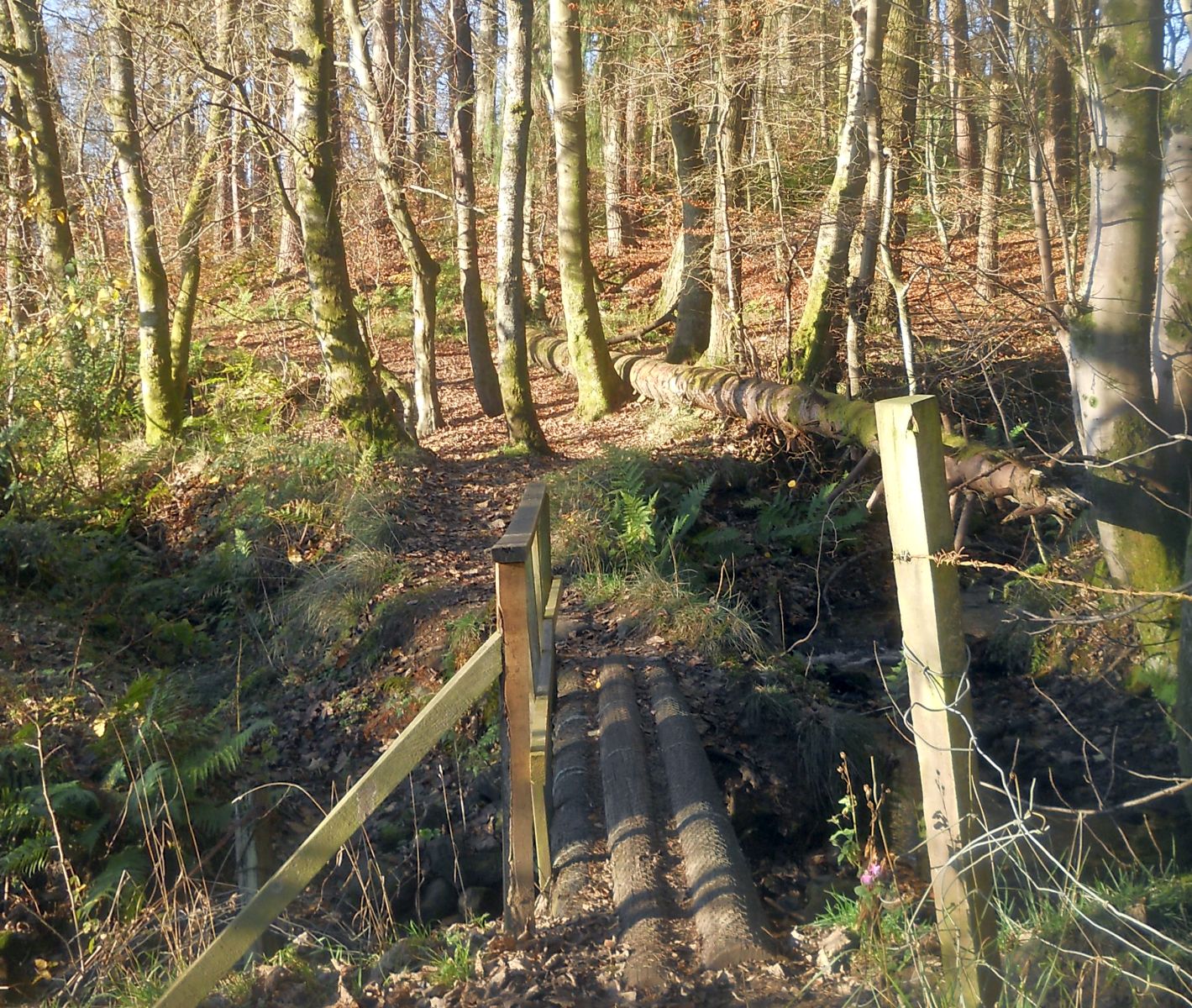 Path on route to Alloch Dam