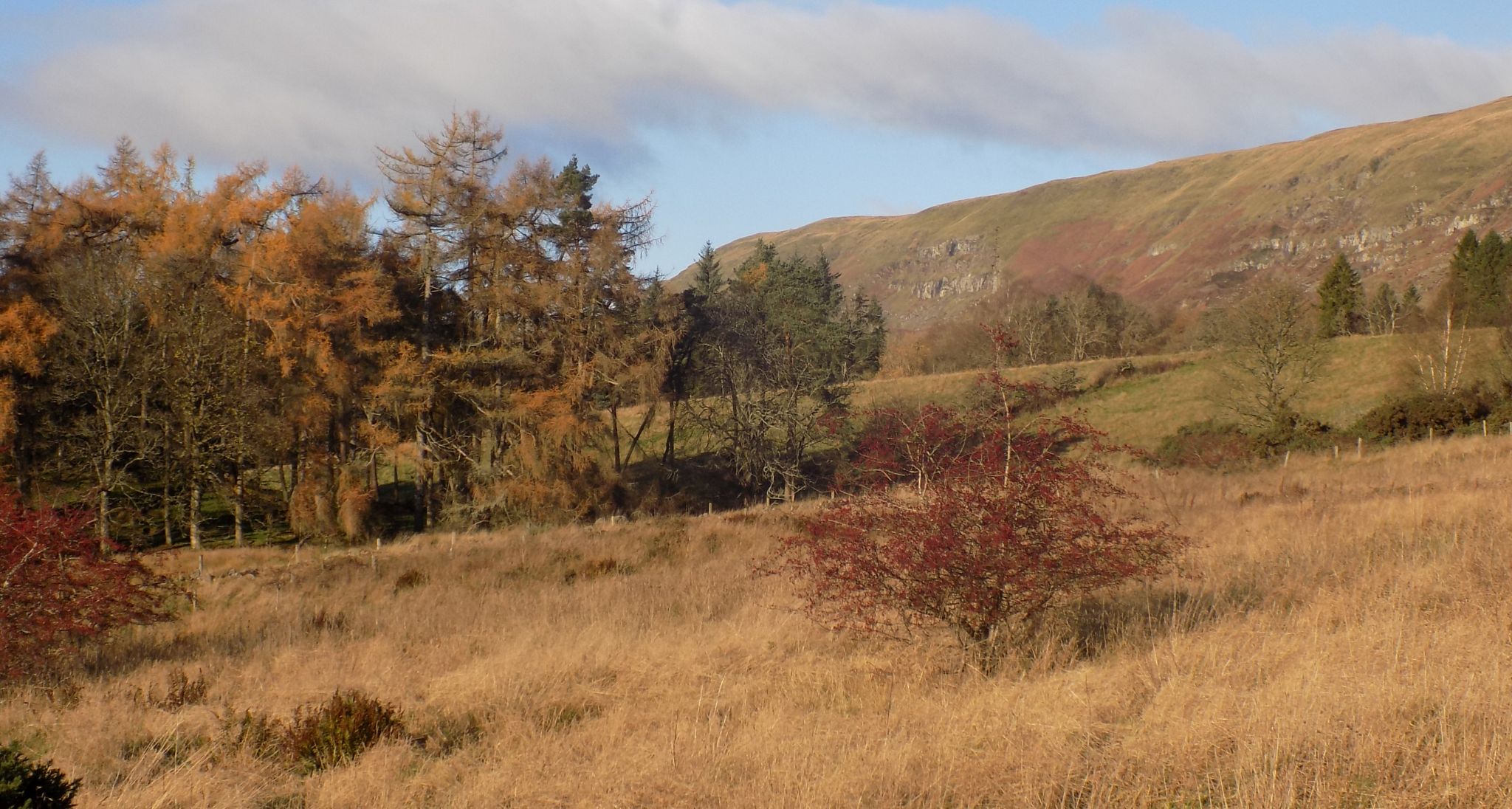 Campsie Fells on route to Alloch Dam