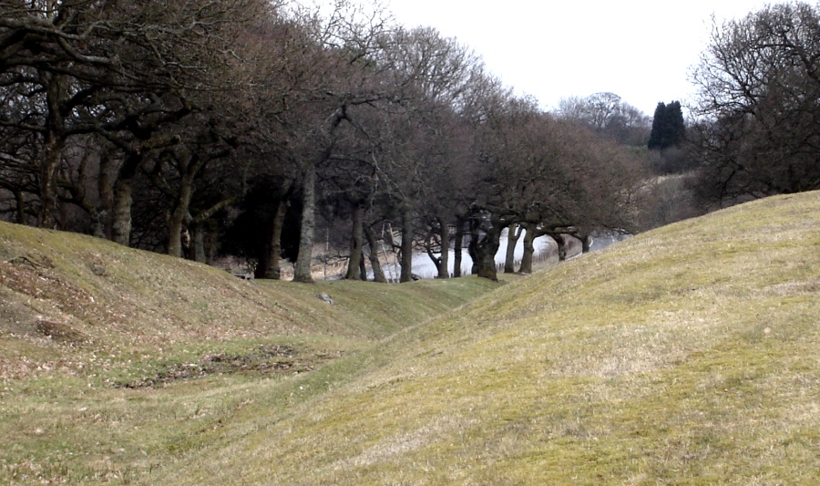 Rampart and Ditch of Antonine Wall through Seabegs Wood above the Forth & Clyde Canal near Bonnybridge