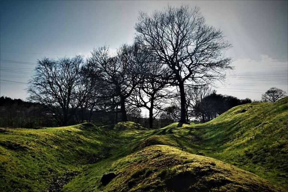 Rampart and Ditch of Antonine Wall through Roughcastle Woods near Falkirk