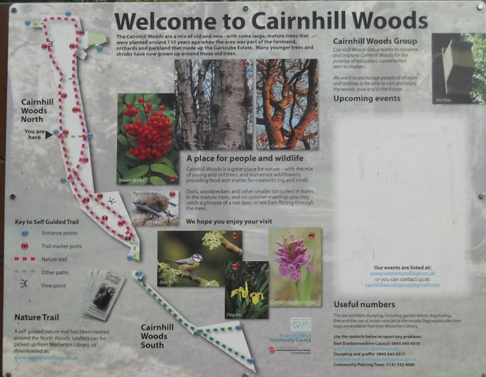 Notice Board at Cairnhill Woods in Westerton