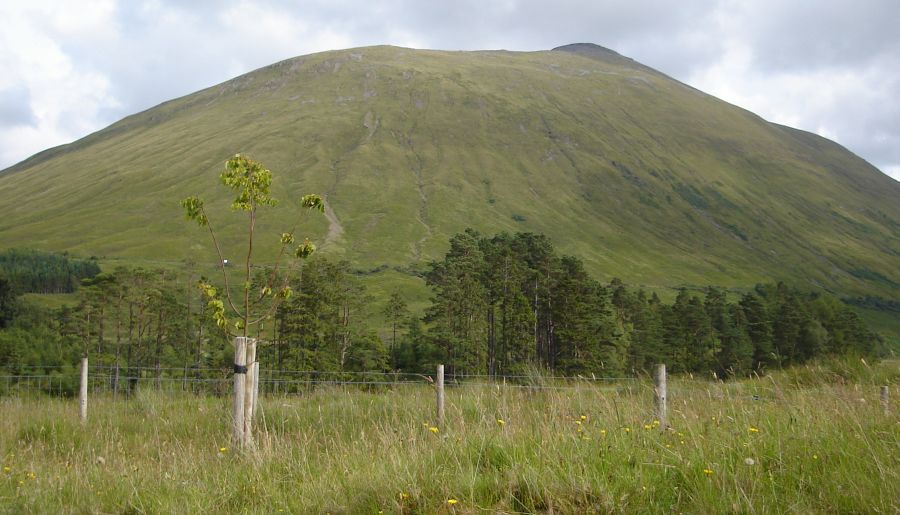 Beinn Odhar above The West Highland Way heading north from Tyndrum