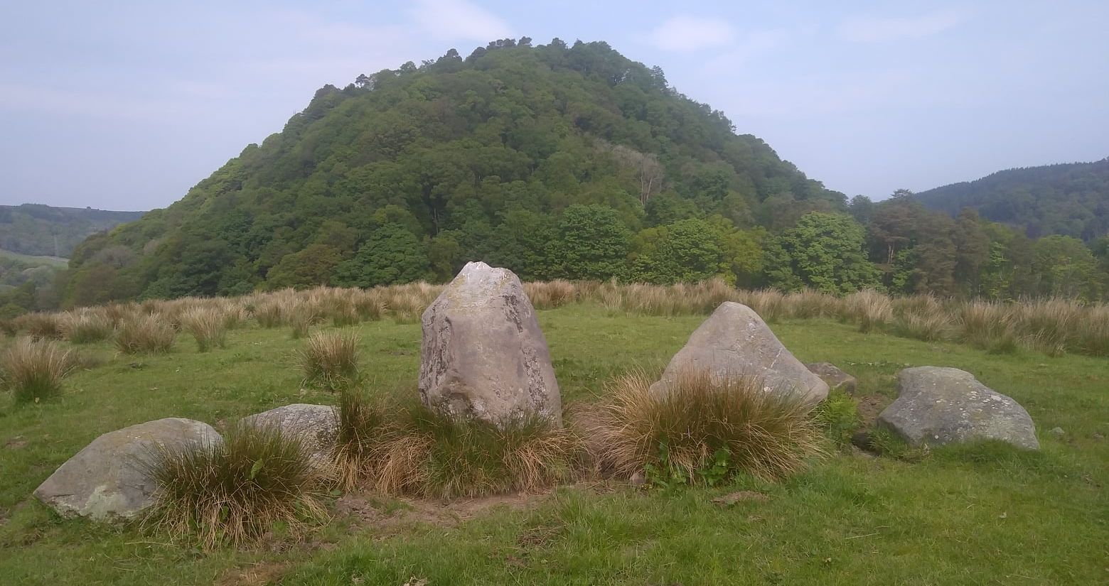 Standing stones of Dumgoyach