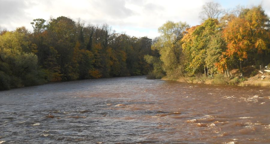 River Clyde at Bothwell Bridge from the walkway
