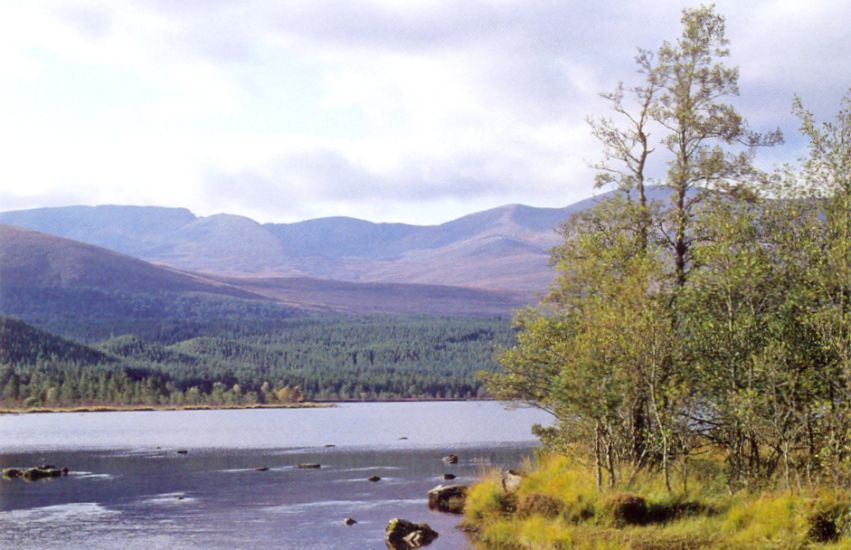 Loch Morlich in the Cairngorms of Scotland