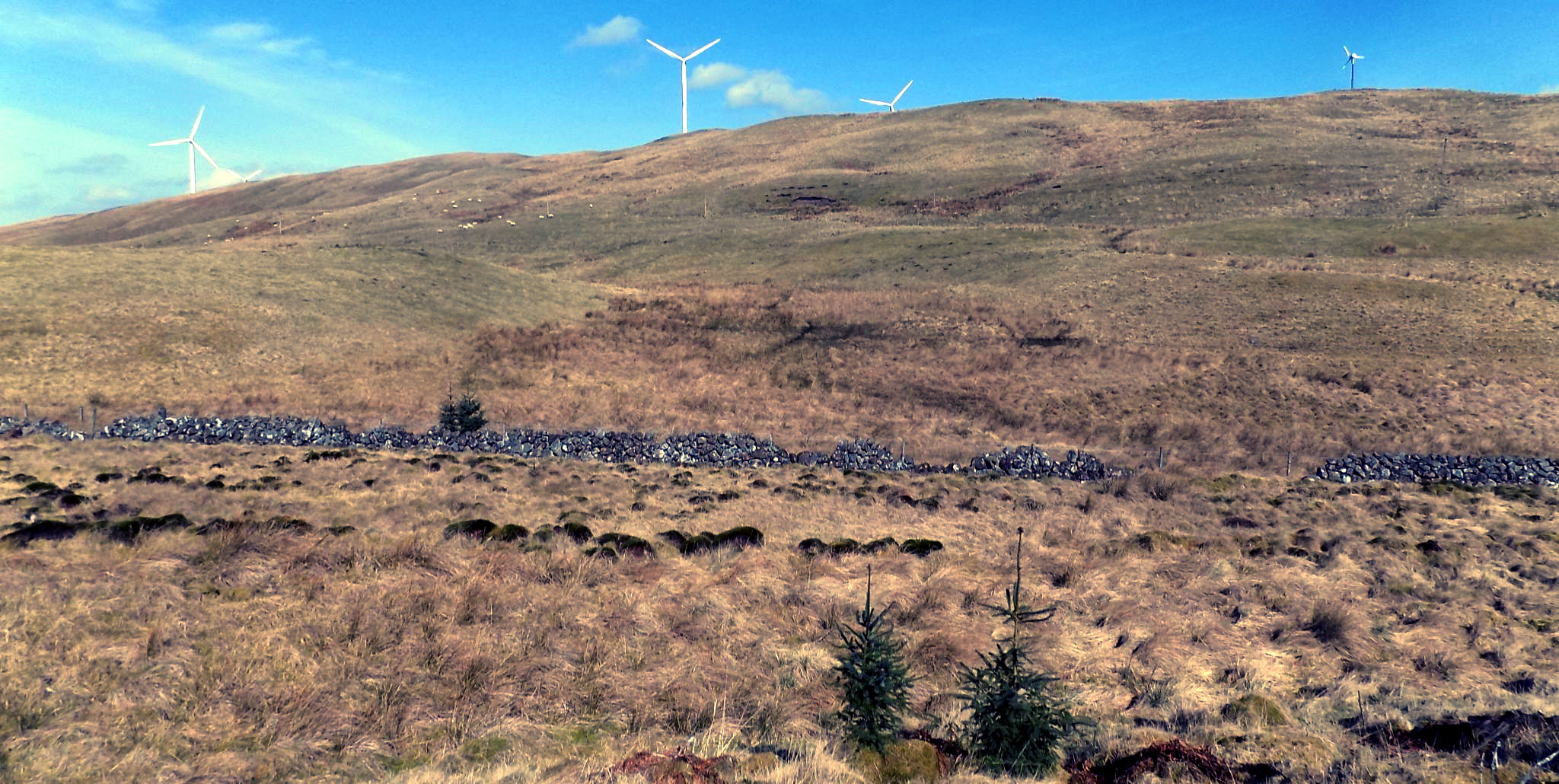 Wind Turbines on Hart Hill on descent from Cairnoch Hill.