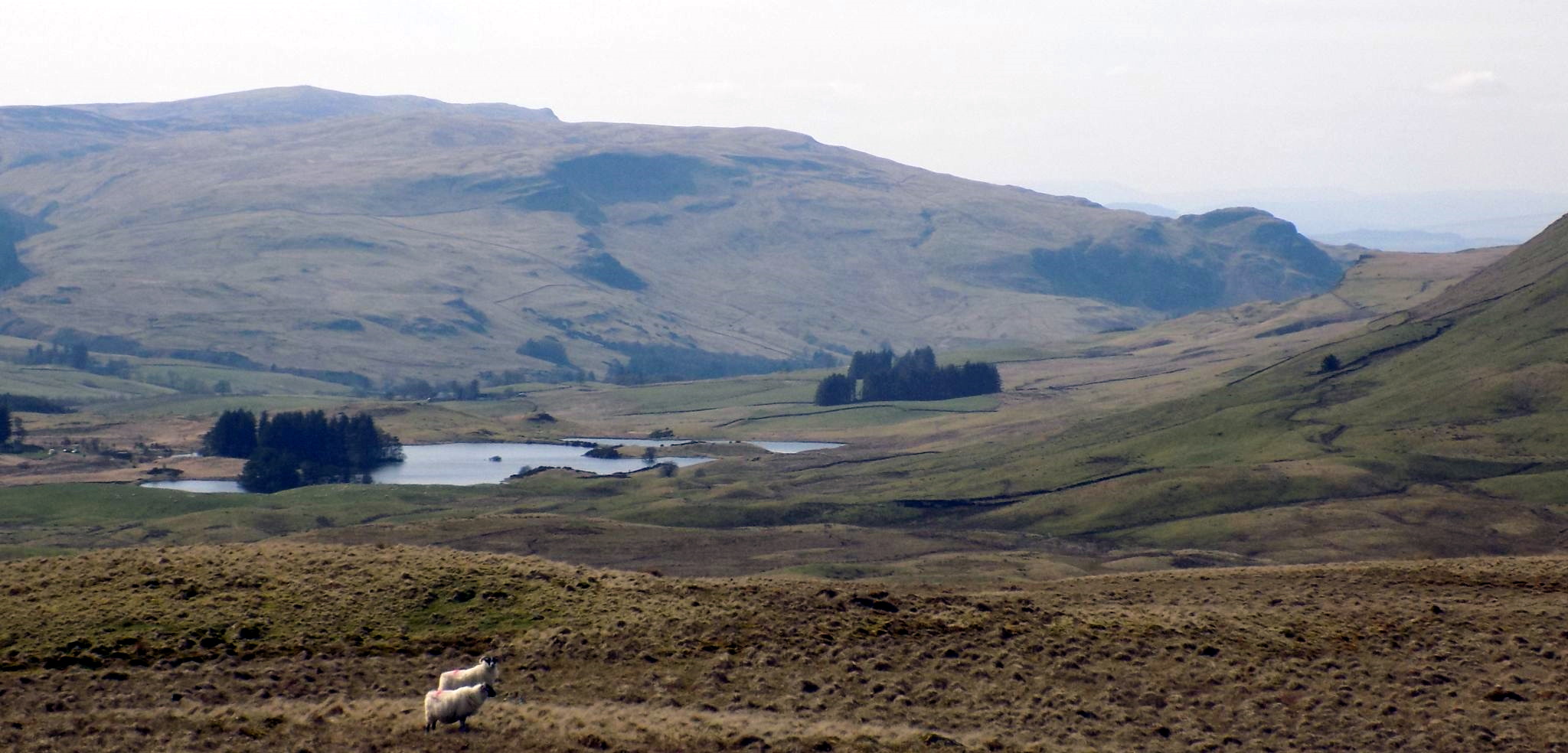 Campsie Fells and Loch Walton on descent from Hart Hill