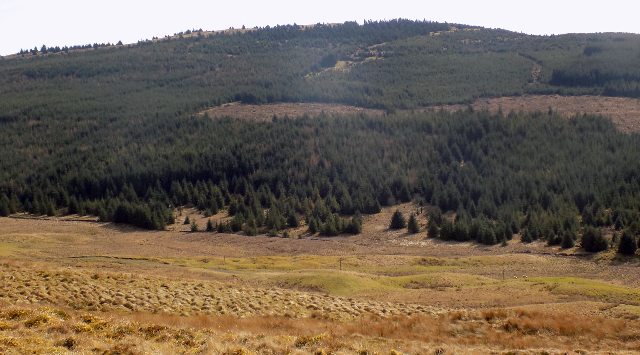 Cairnoch Hill on descent from Hart Hill