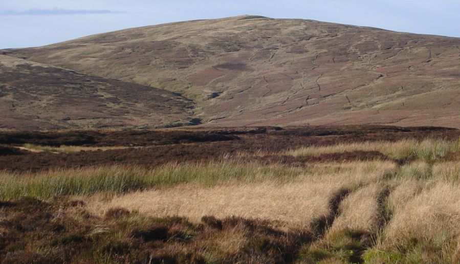 Approach to Earl's Seat in the Campsie Fells