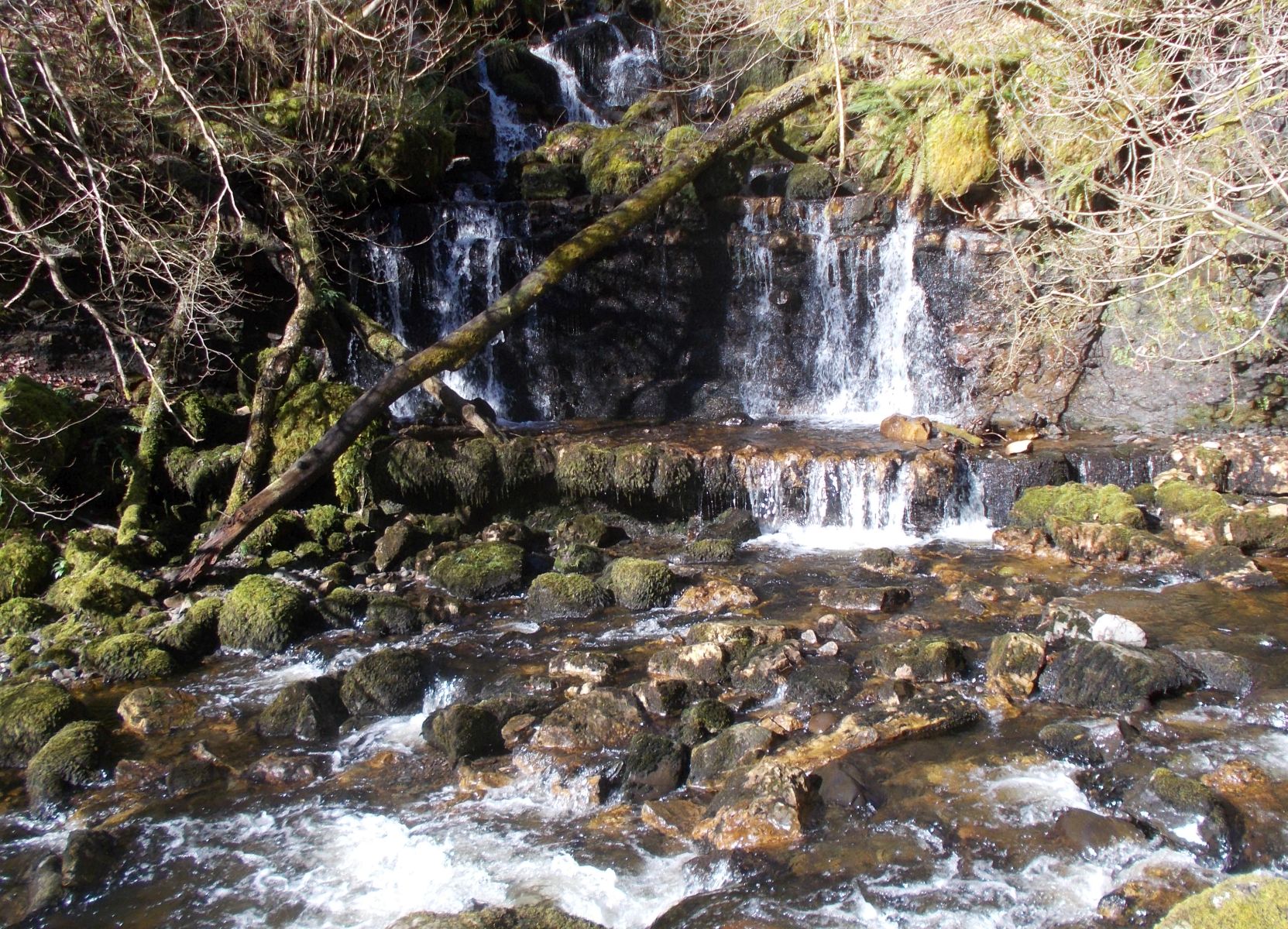 Waterfalls / Jane's Linn on Kirk Burn in Campsie Glen