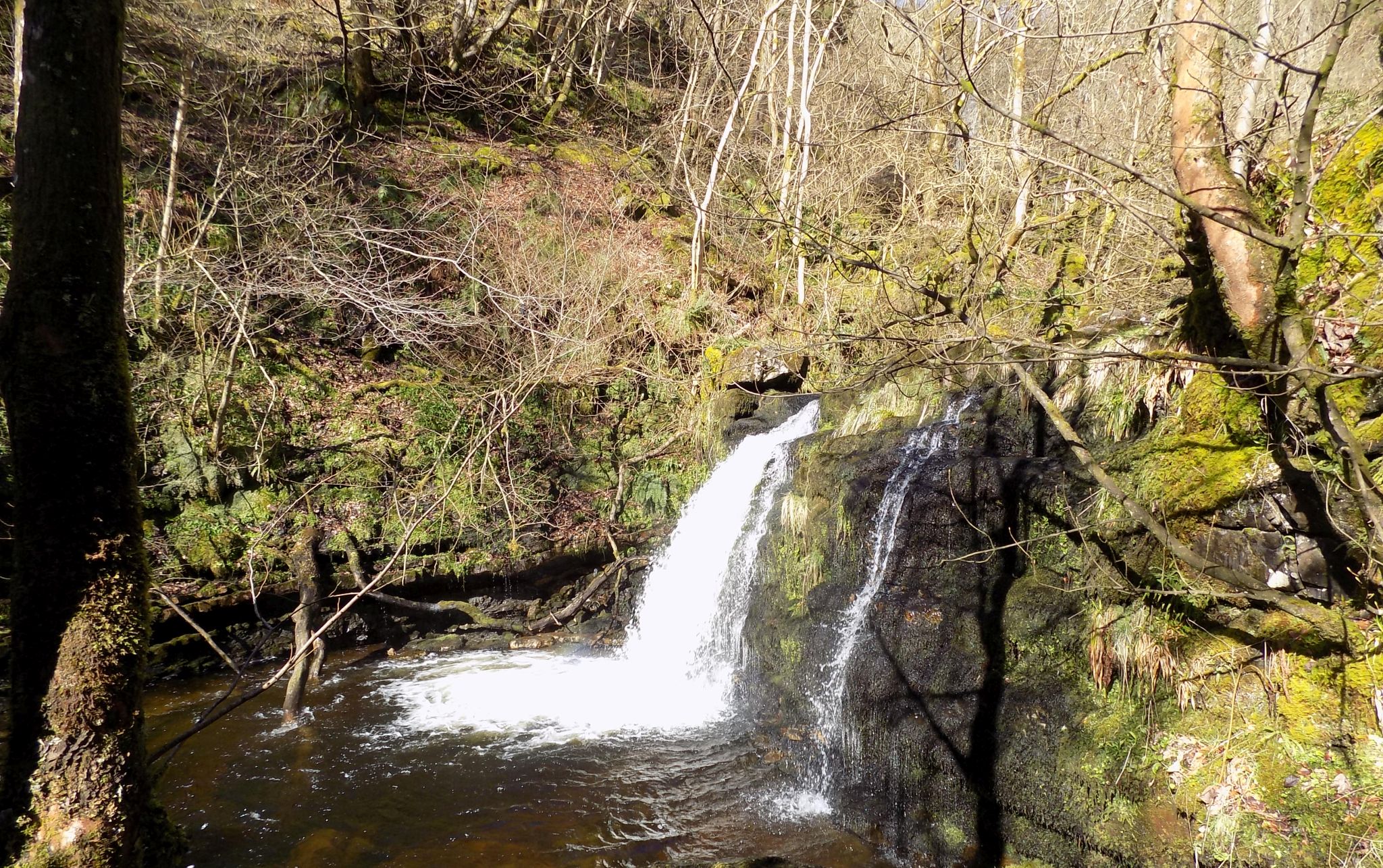 Waterfall on Kirk Burn in Campsie Glen