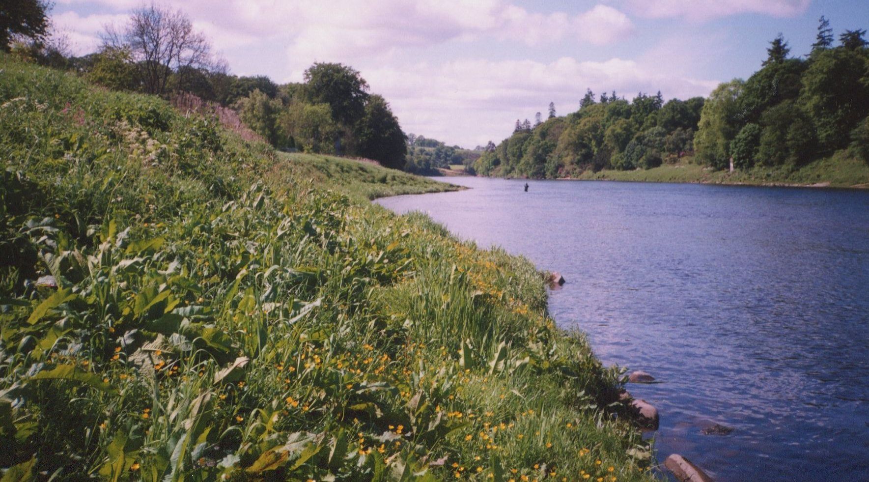 River Tay at Cargill