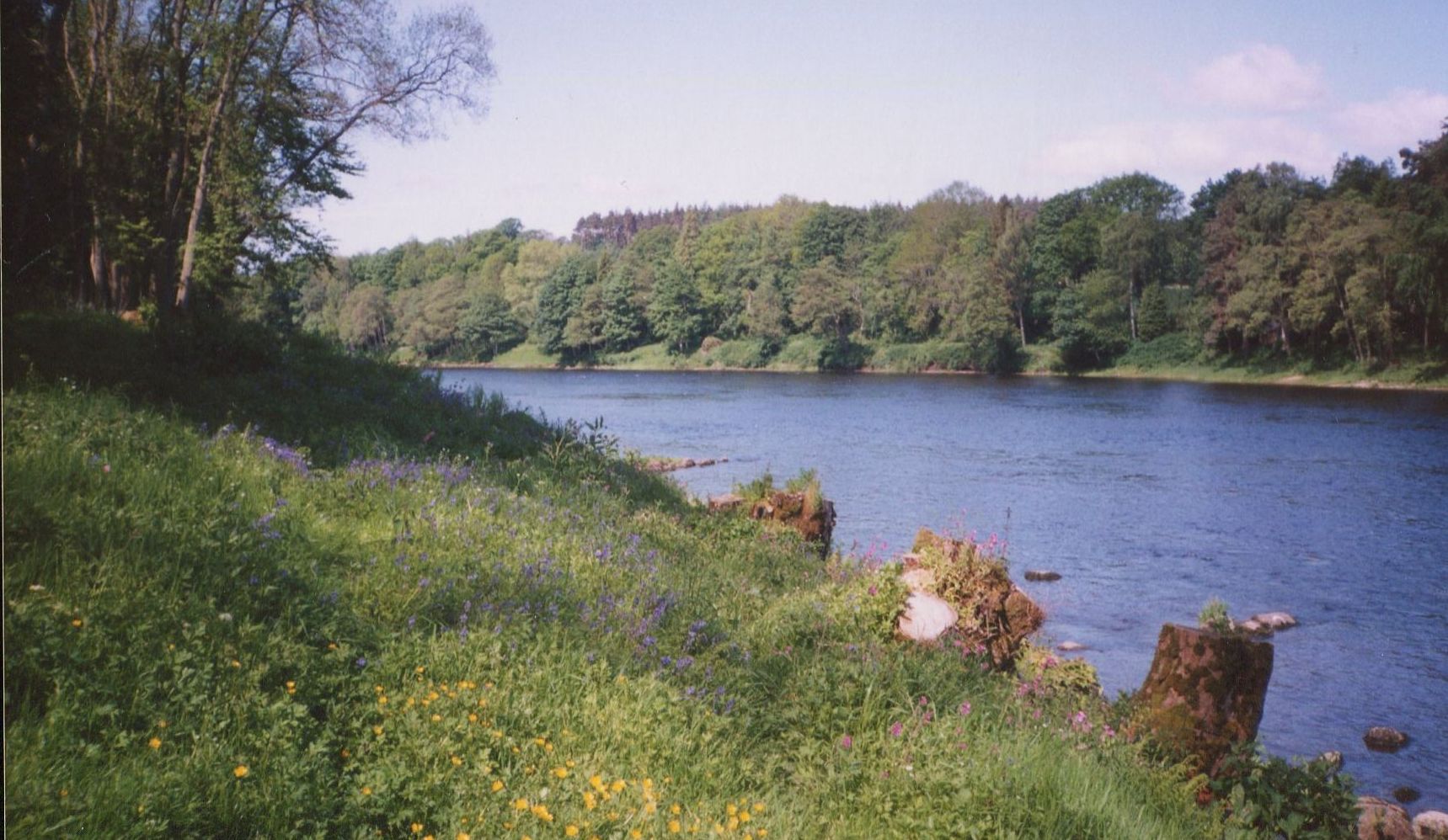 River Tay at Cargill