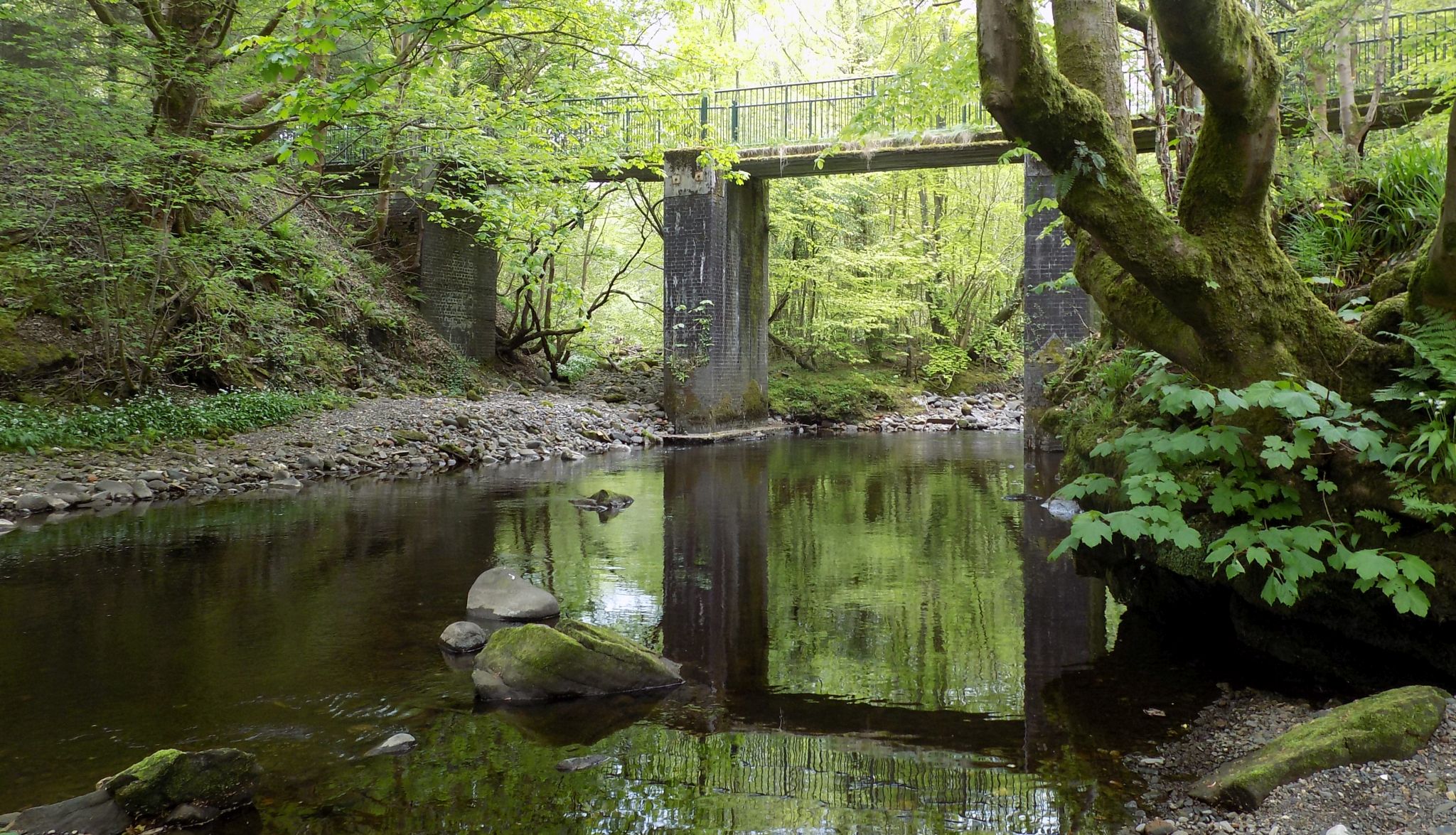 Green Bridge over Carron River at Herbertshire Castle Park