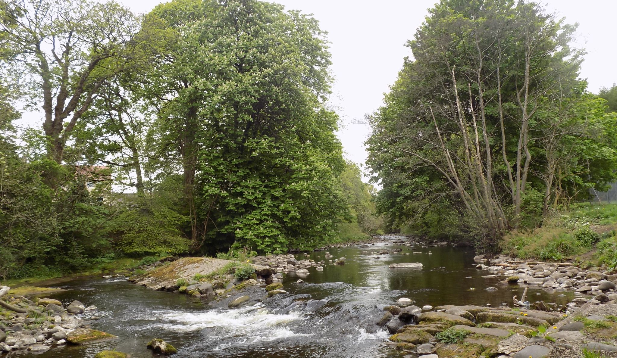 Carron River at Herbertshire Castle Park