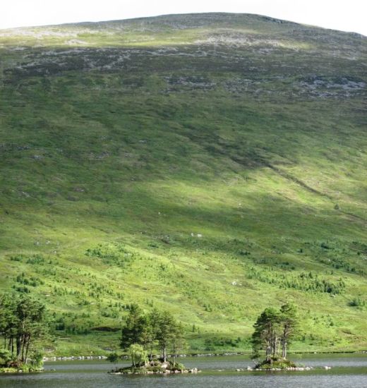 Beinn na Lap above Loch Ossian in the Highlands of Scotland