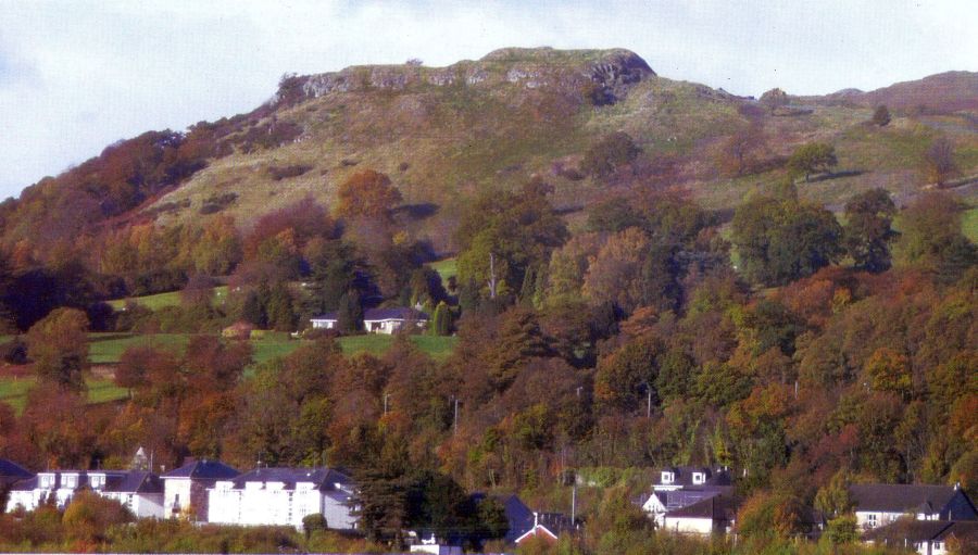 Sheep hill in the Kilpatrick Hills at Auchentorlie