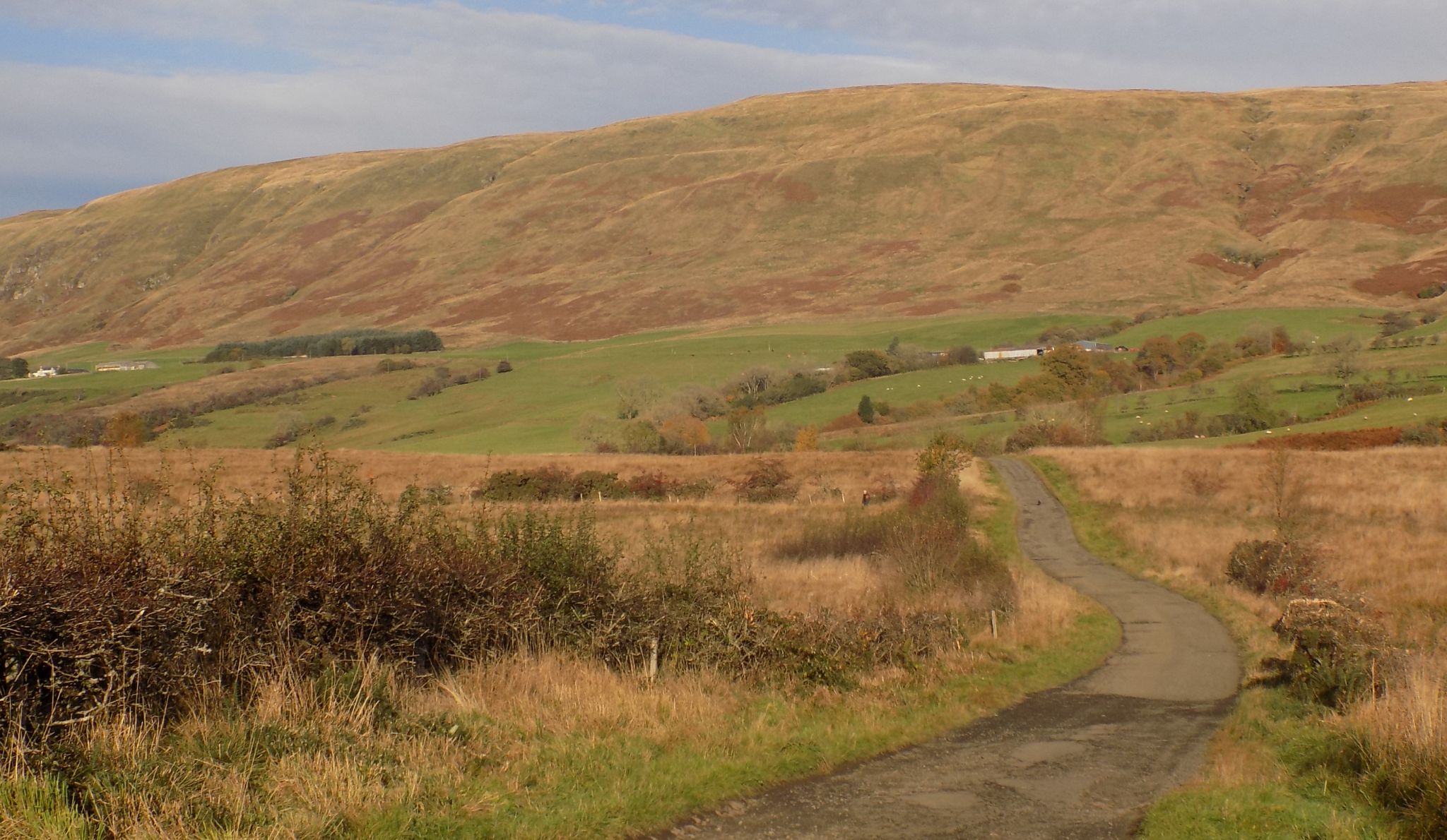 Approach to Cort-ma Law on the Campsie Fells from Milton of Campsie