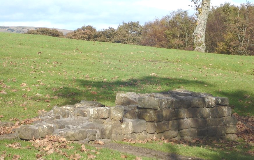 Remains of Roman Fort on Barr Hill at Twechar