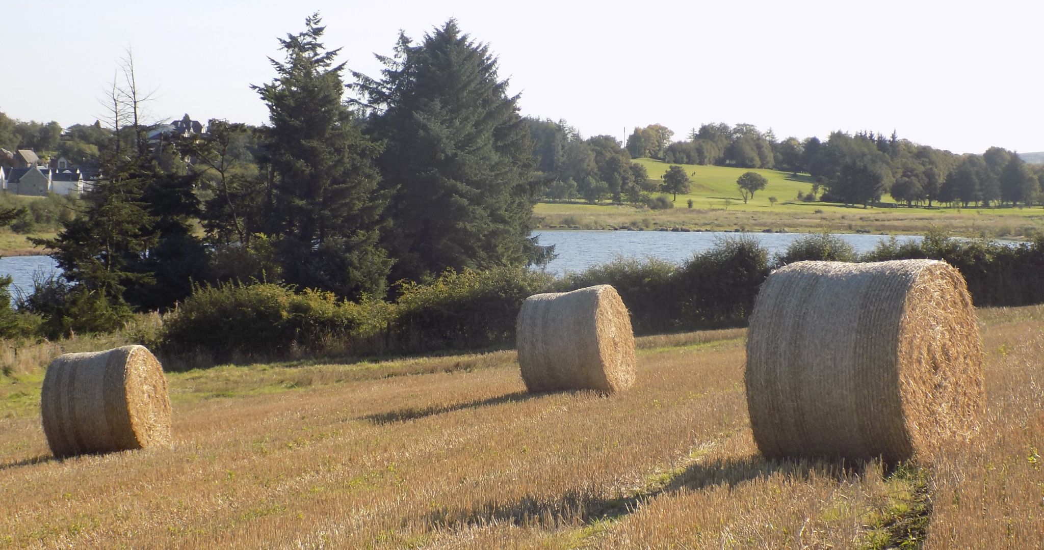 Hay bales in field beside Gadloch