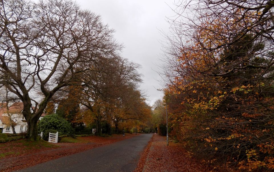 Ralston Road in autumn