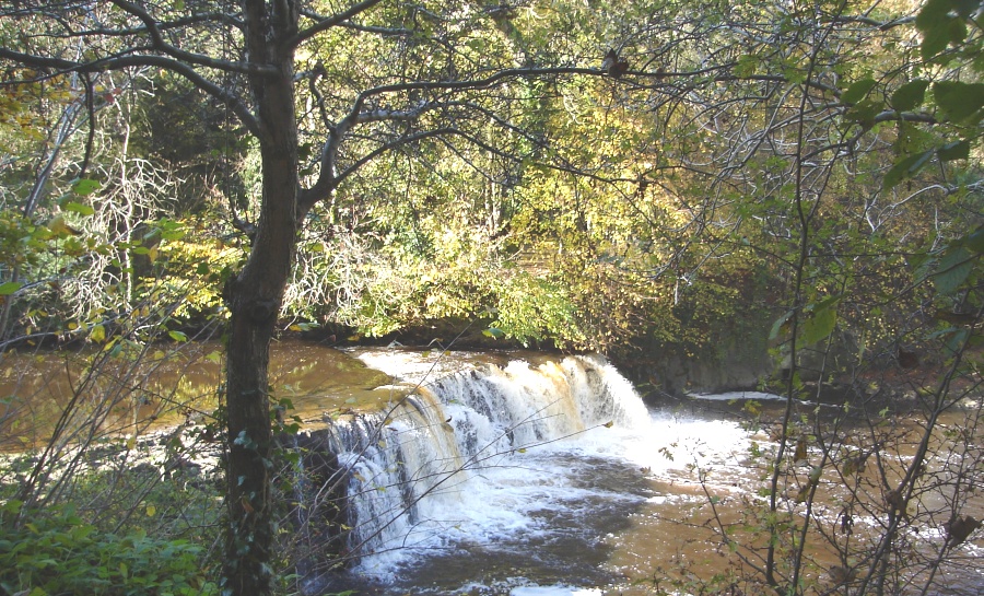 Falls on the White Cart River at Linn Park