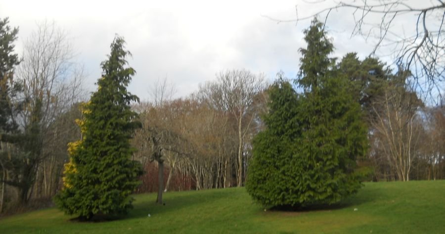 Woodlands at Linn Crematorium