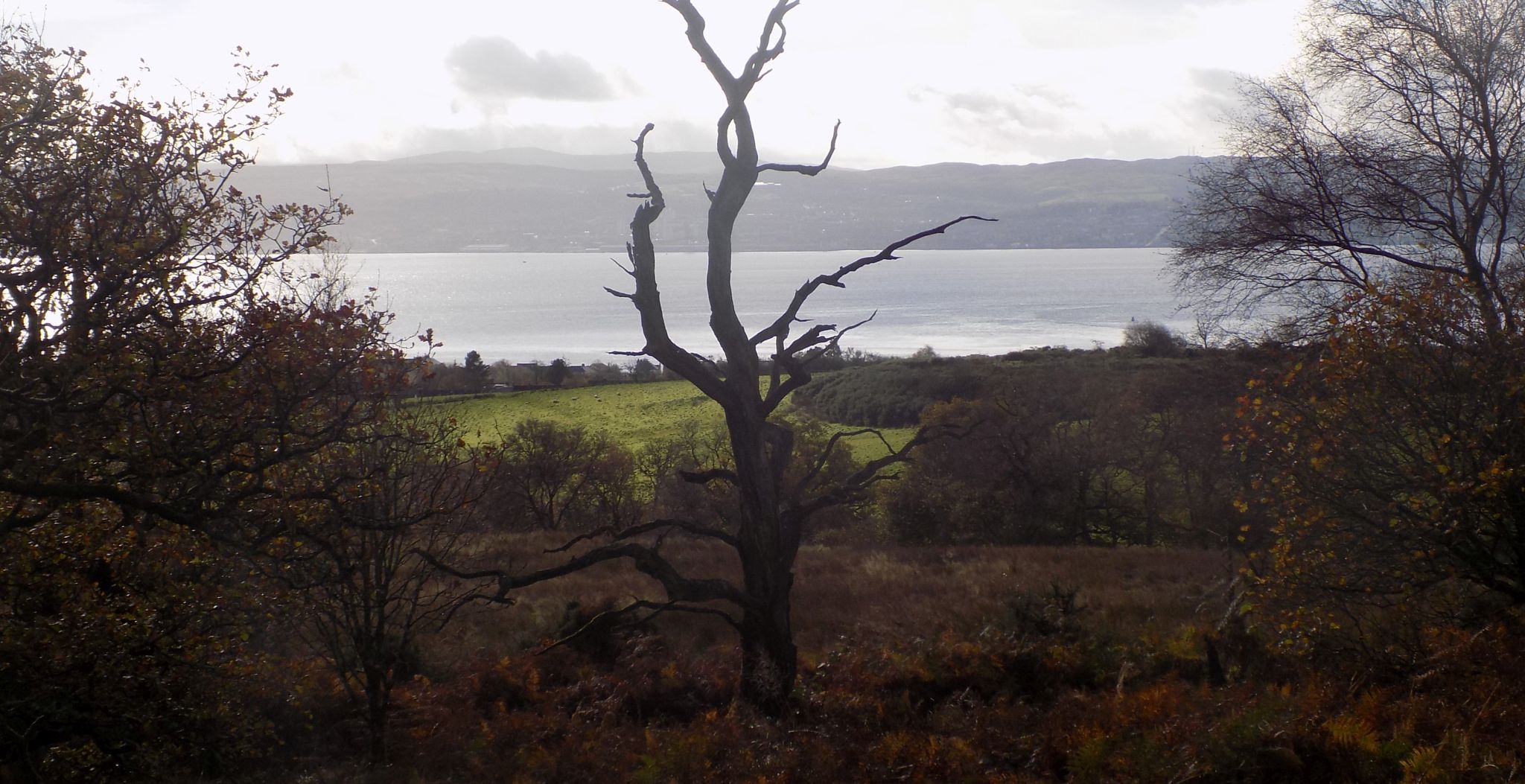 Firth of Clyde from 3-Lochs-Trail