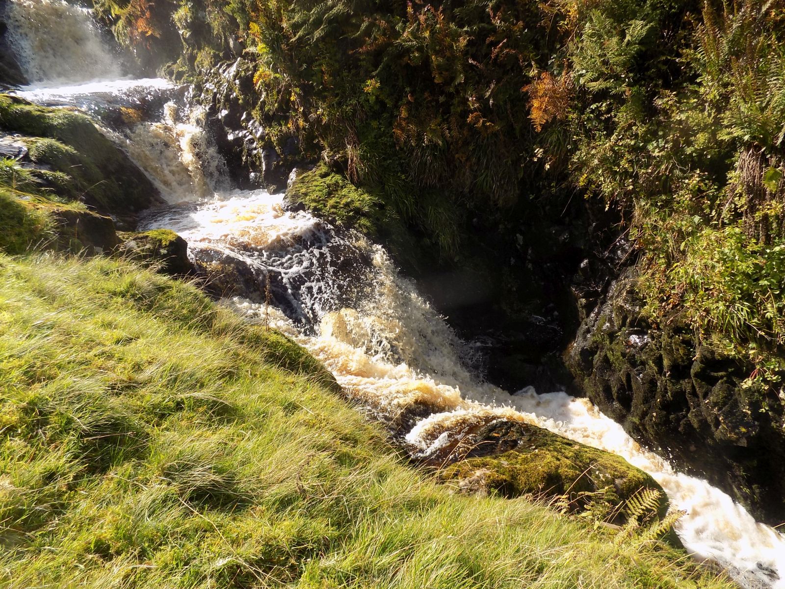 Waterfalls on Gonachan Burn below the Hole of Kailrine in the Campsie Fells