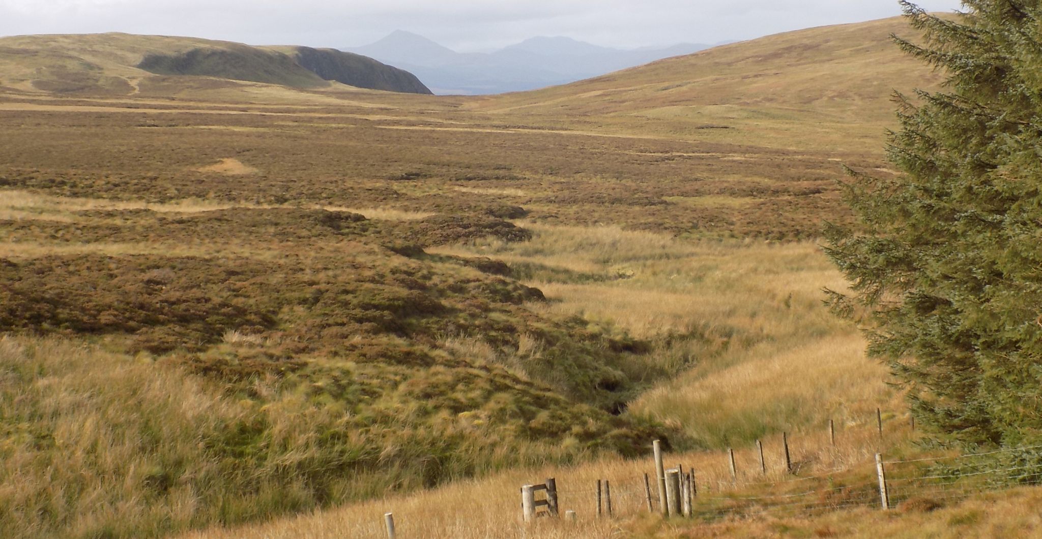 Approach to the Hole of Kailrine in the Campsie Fells