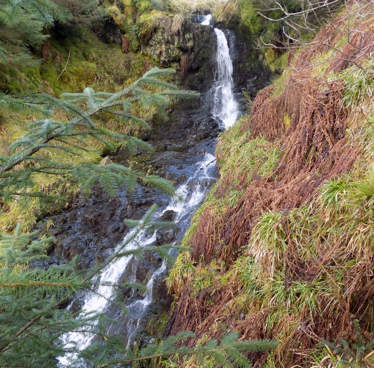Waterfall on tributary of Bin Burn