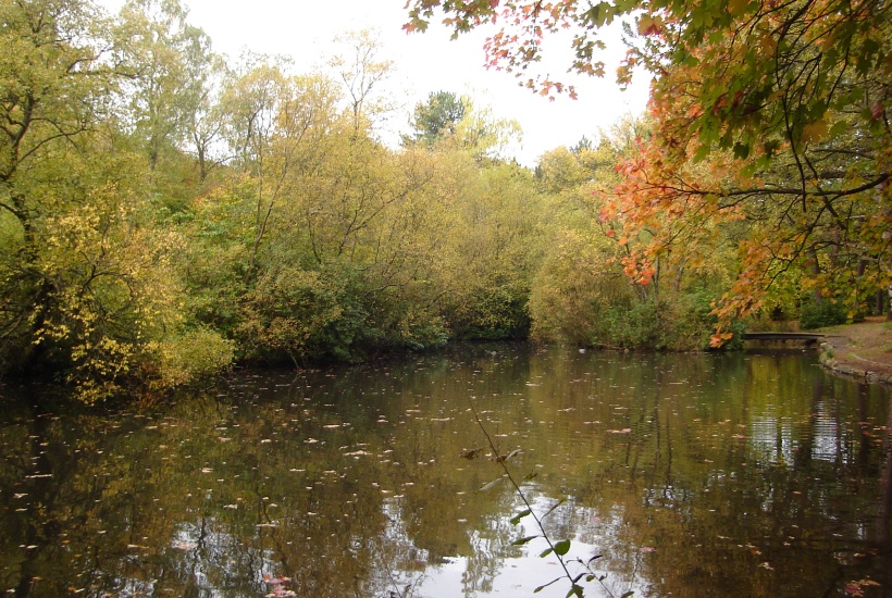 The Pond in Pollock Country Park
