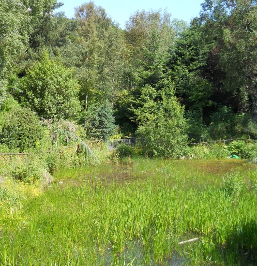 Pond in the Rockery in Springburn Park in the NE of Glasgow