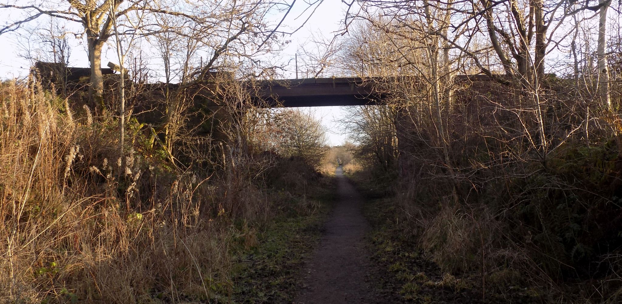 Old Bridge over the route of the former Kelvin Valley Railway