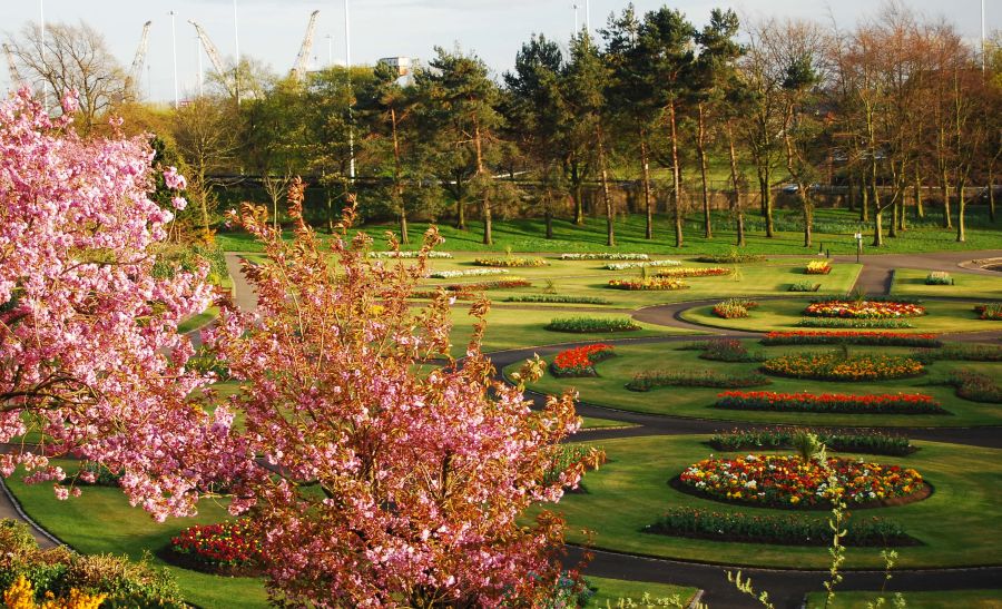 Blossom and Flower beds in Victoria Park