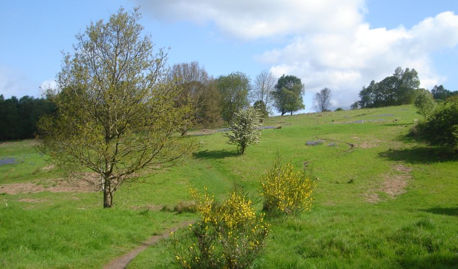 West Highland Way across Mugdock Moor