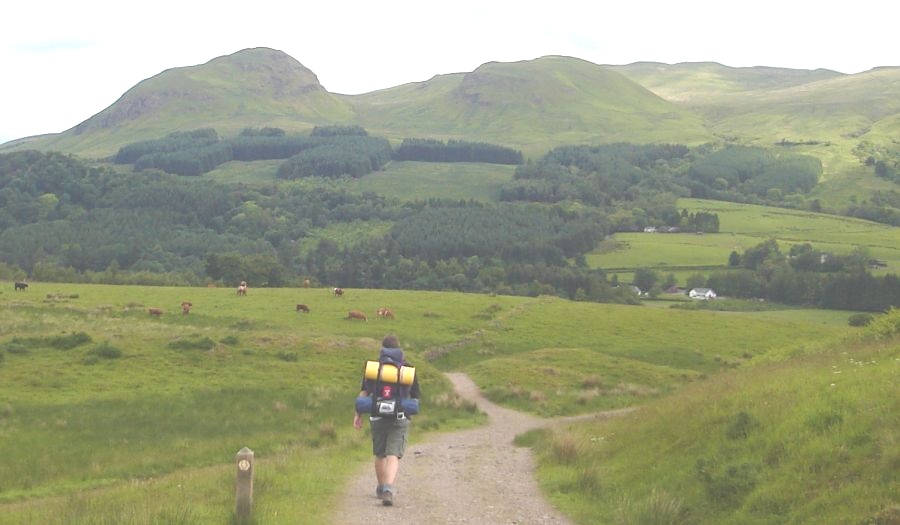 West Highland Way - Path from Carbeth to Dumgoyne