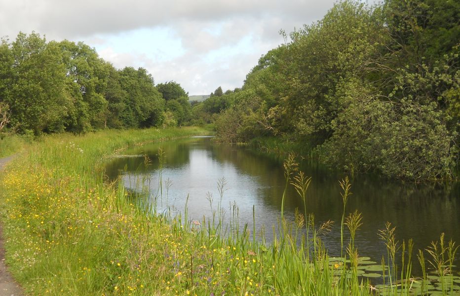 Forth and Clyde Canal at Westerton