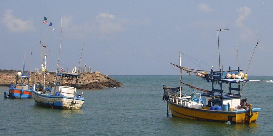 Fishing Boats in Harbour at Hikkaduwa