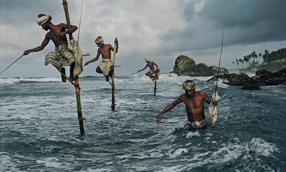 Stilt Fishermen at Hikkaduwa