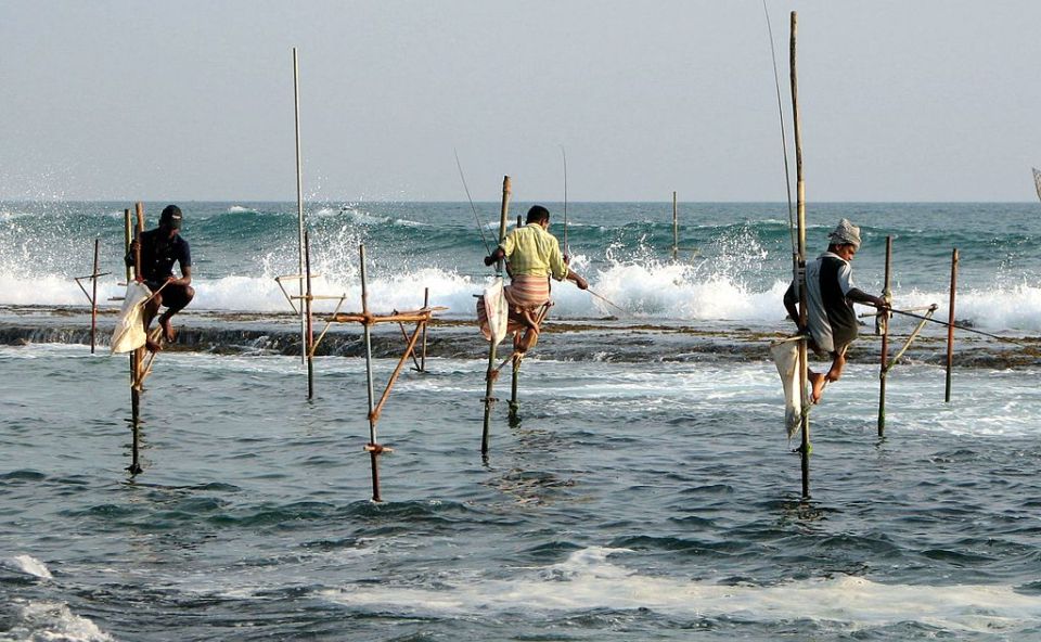 Stilt Fishermen at Hikkaduwa
