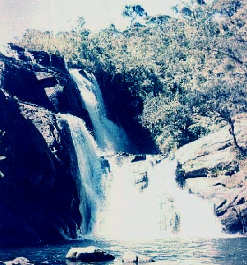 Baker's Falls in Horton Plains National Park