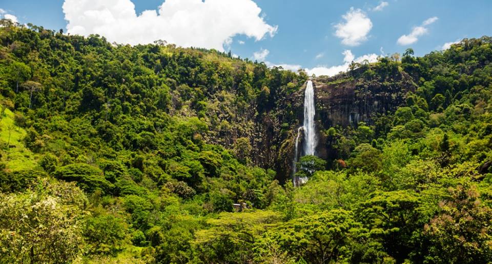 Bambarakanda Falls in the Hill Country of Sri Lanka