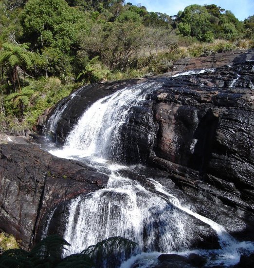 Baker's Falls in Horton Plains National Park in the Hill Country of Sri Lanka